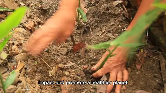 'Video thumbnail for Best Tips for Sustainable Living'