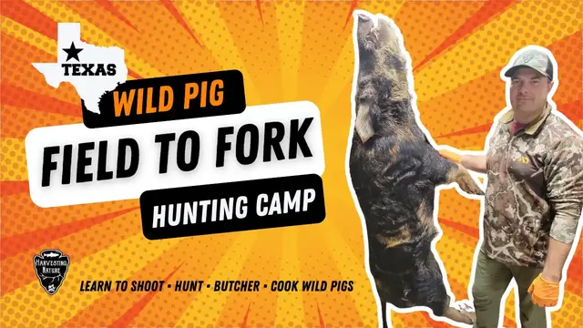 'Video thumbnail for Wild Pig Field to Fork Hunting Camp'