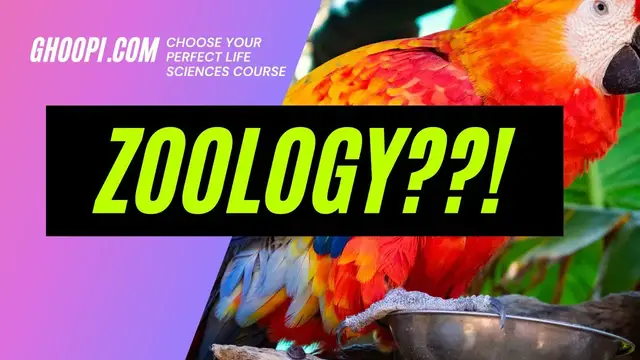 'Video thumbnail for Should You Study Zoology This Year?'