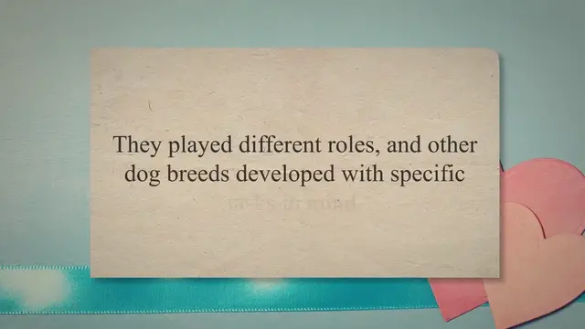 'Video thumbnail for The 5 Spaniel Breeds - Top Choice'