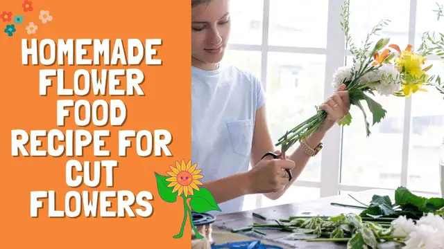 'Video thumbnail for Homemade Flower Food Recipe for Cut Flowers'