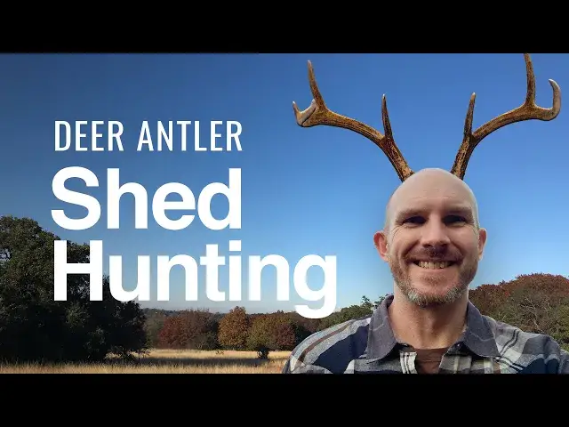 'Video thumbnail for Deer Antler Shed Hunting: The Post-Season Scavenger Hunt'