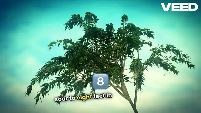 'Video thumbnail for Transform Your Yard with Fast Trees'