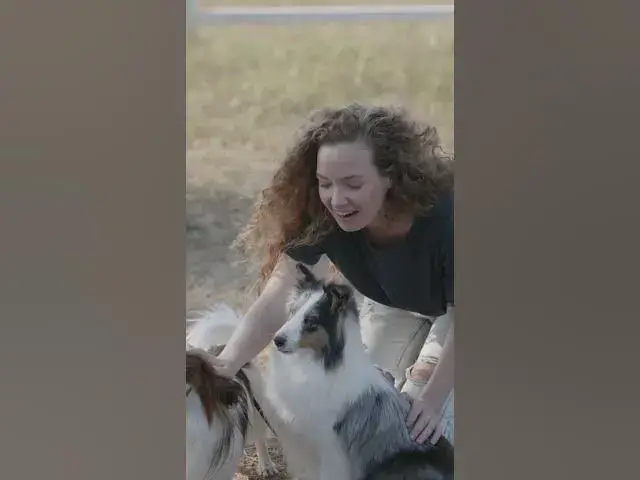 'Video thumbnail for Best of Human  Pets Relationships #7| Calm dog, happy dog, meaning of Human care to animals'