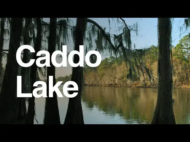 'Video thumbnail for Spotlight on Caddo Lake: Visitors Guide, Boating, Camping, Fishing, Hiking, Wildlife and More!'