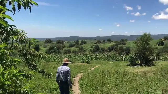 'Video thumbnail for Día Nacional del Maíz'