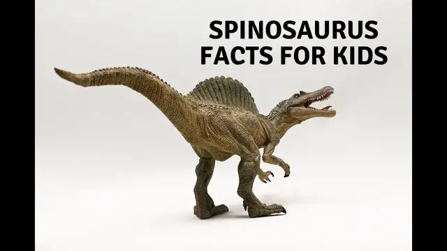 'Video thumbnail for Spinosaurus Facts for Kids'