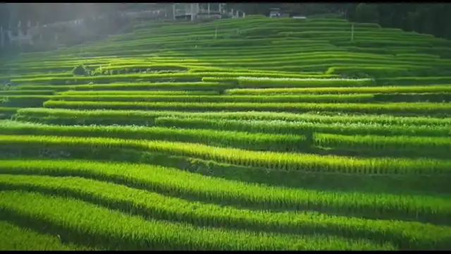 'Video thumbnail for The perfact place of china'