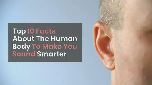 'Video thumbnail for Top 10 Facts About The Human Body To Make You Sound Smarter'