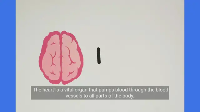 'Video thumbnail for Understanding the Heart'