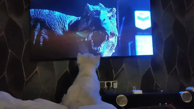 'Video thumbnail for Westie dog going crazy watching Jurassic Park'