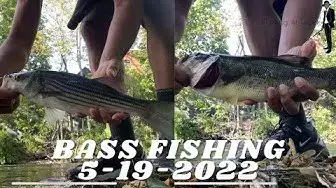 'Video thumbnail for Charles River Fishing - Watertown Dam - 5/19/2022'