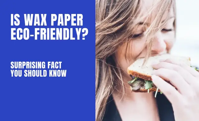 'Video thumbnail for How Eco-Friendly Is Wax Paper? (Surprising Facts You Should Know)'