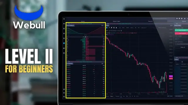 'Video thumbnail for How to Read Level 2 Data in Webull | Level 2 and Time & Sales'