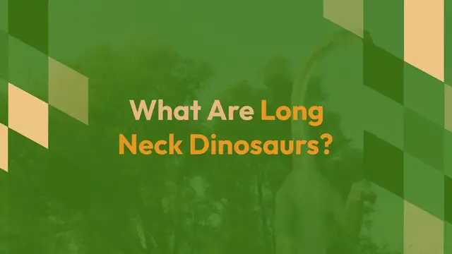 'Video thumbnail for Long Neck Dinosaurs'