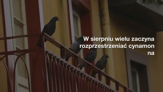 'Video thumbnail for Nieoczekiwany powód, dla którego prawie wszyscy rozprowadzają cynamon na balkonie w sierpniu'