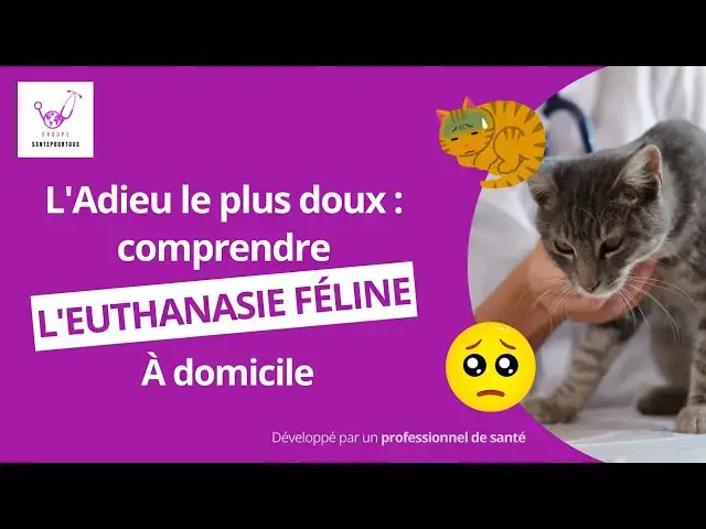 'Video thumbnail for L'Adieu le plus doux : comprendre l'euthanasie féline à domicile'
