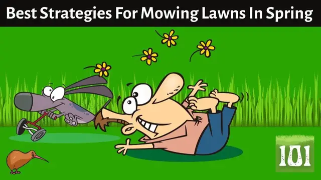 'Video thumbnail for The Best Strategies For Mowing Lawns In The Spring Season!'