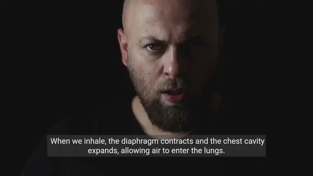 'Video thumbnail for Understanding the Respiratory System'