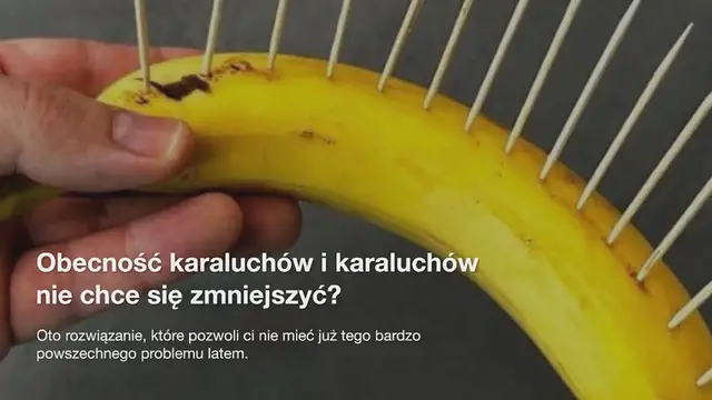 'Video thumbnail for Żegnaj karaluchy i karaluchy z domu: dzięki temu niezawodnemu lekarstwu znikną'