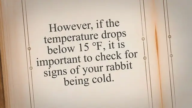 'Video thumbnail for How Cold Can Rabbits Tolerate?'