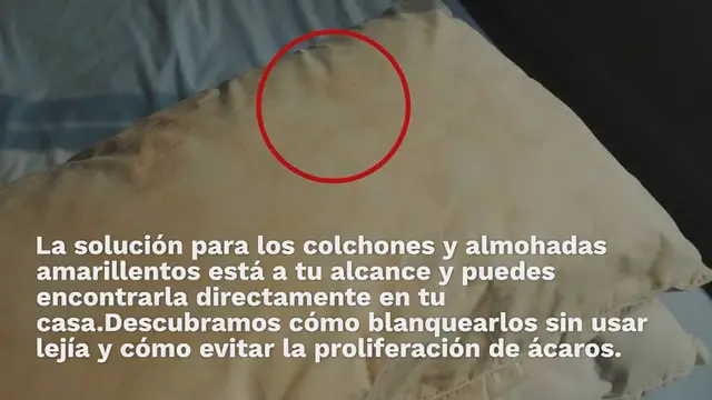 'Video thumbnail for Colchones y almohadas amarillentos, cómo blanquearlos sin usar lejía'