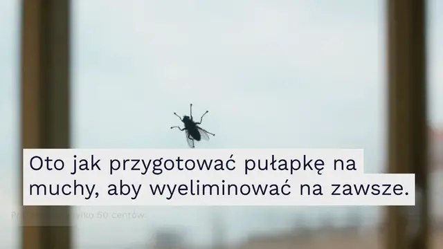 'Video thumbnail for Przygotuj tę śmiertelną pułapkę na muchy, za 50 centów sprawisz, że wszystkie znikną'