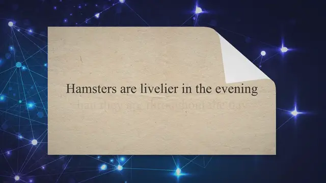 'Video thumbnail for Buying your hamster - Hamster Care Sheet & Guide - How to Care For Your Hamster'
