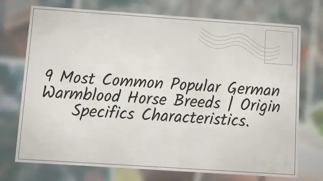 'Video thumbnail for 9 Most Common Popular German Warmblood Horse Breeds | Origin Specifics Characteristics'