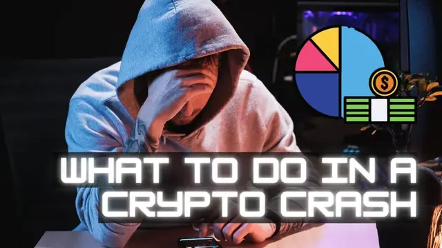 'Video thumbnail for What to do in a Crypto Market Crash'