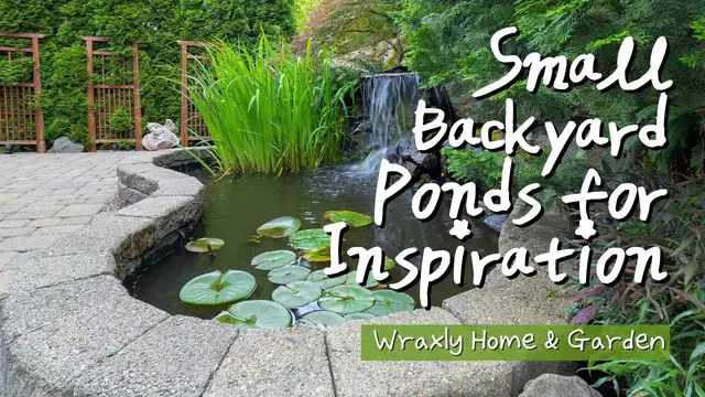 'Video thumbnail for Small Backyard Ponds for Inspiration'