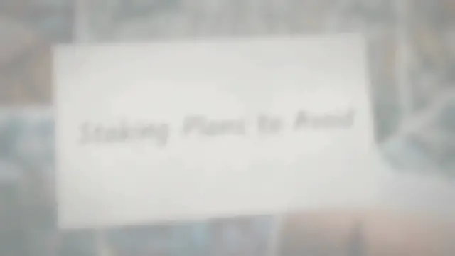 'Video thumbnail for Staking Plans to Avoid'
