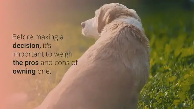 'Video thumbnail for Pros and Cons of Owning a Beagle Mixed Puppy'