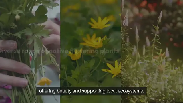'Video thumbnail for Wildflower Gardens'