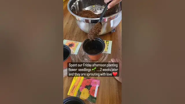 'Video thumbnail for Toddler #Montessori Activity, Life Skills & Science! Plus Bonding 🥰 #toddleractivities'