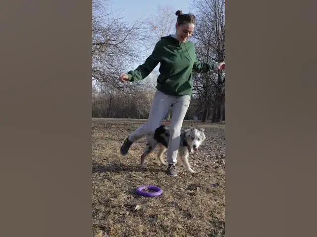'Video thumbnail for Best of Human Pet Relationship #3 / Dog training 1'