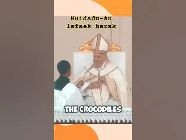 'Video thumbnail for Mensajen Reflesaun Papa Francisco 🇻🇦🕊️♥️🇹🇱 #popefrancis #timorleste'