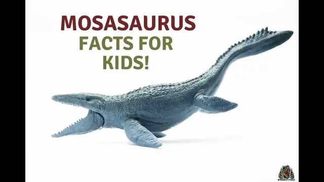 'Video thumbnail for Mosasaurus Facts for Kids'