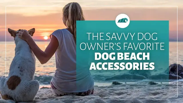 'Video thumbnail for The Savvy Dog Owners Favorite Dog Beach Accessories'