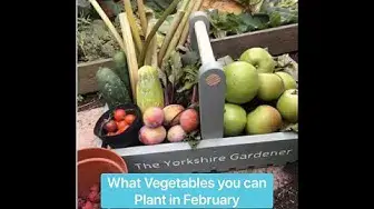 'Video thumbnail for 🌱 What Vegetable Seeds to Plant in February | Perfect Choices for Your Garden & Allotment 🥕'