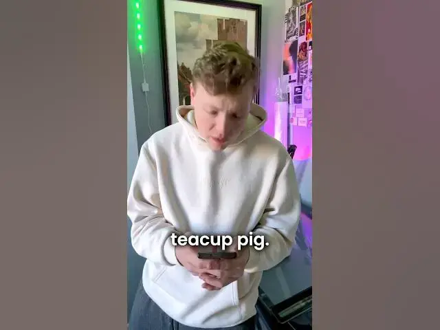 'Video thumbnail for Drawing a bedazzled teacup pig with watercolour #art'