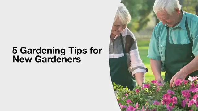 'Video thumbnail for 5 Gardening Tips for Beginners'