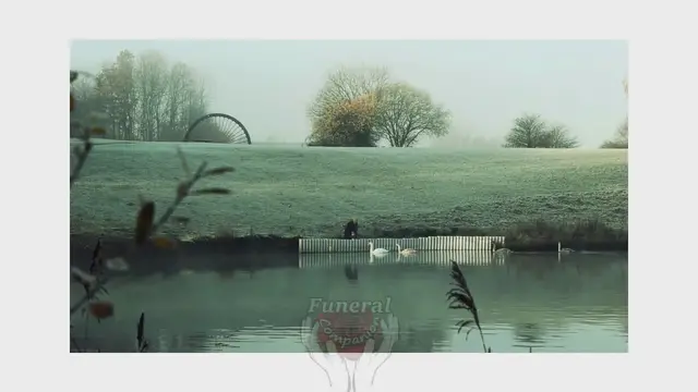 'Video thumbnail for How Much Is A Burial Plot Just For Ashes In All 50 States'