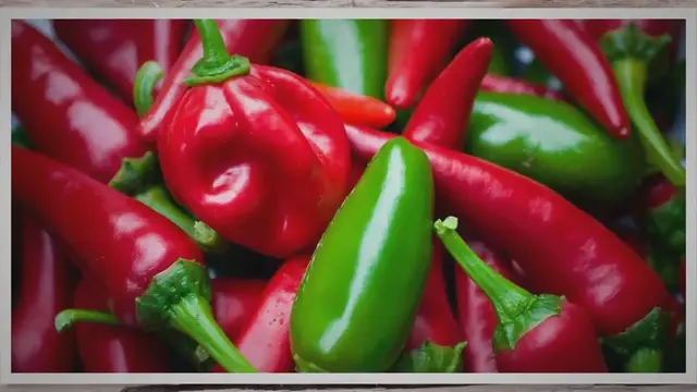 'Video thumbnail for Can Dogs Eat Jalapenos? Dangers & Health Risks Connected To Jalapenos'
