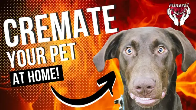 'Video thumbnail for How To Cremate A Pet At Home And Do It Right'