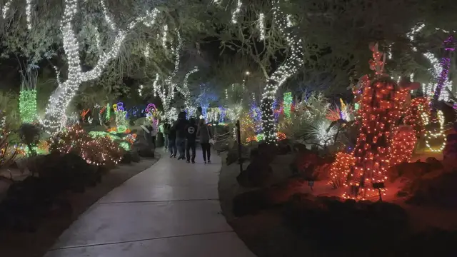 'Video thumbnail for Ethel M Christmas Lights in The Cactus Garden (Henderson / Las Vegas)'