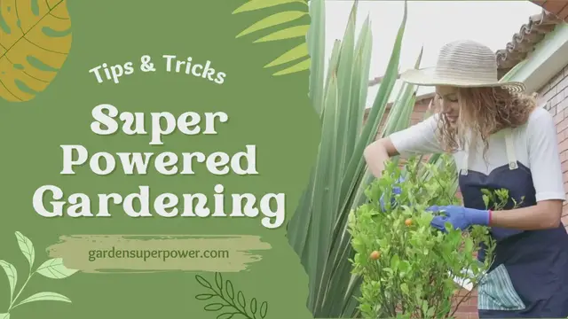 'Video thumbnail for Super Powered Gardening'