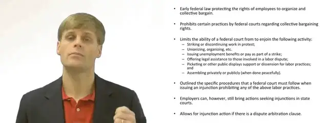 'Video thumbnail for Labor Union Laws ( Norris - LaGuardia Act )'
