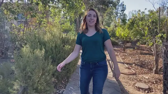 'Video thumbnail for Gray Legging Outfit Ideas'