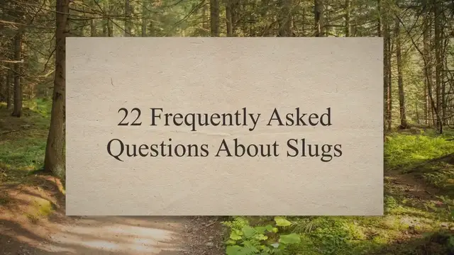 'Video thumbnail for 22 Frequently Asked Questions About Slugs'